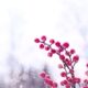 Il matrimonio d’inverno: make-up e acconciature nature