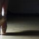 Un Pas de Deux lungo una vita